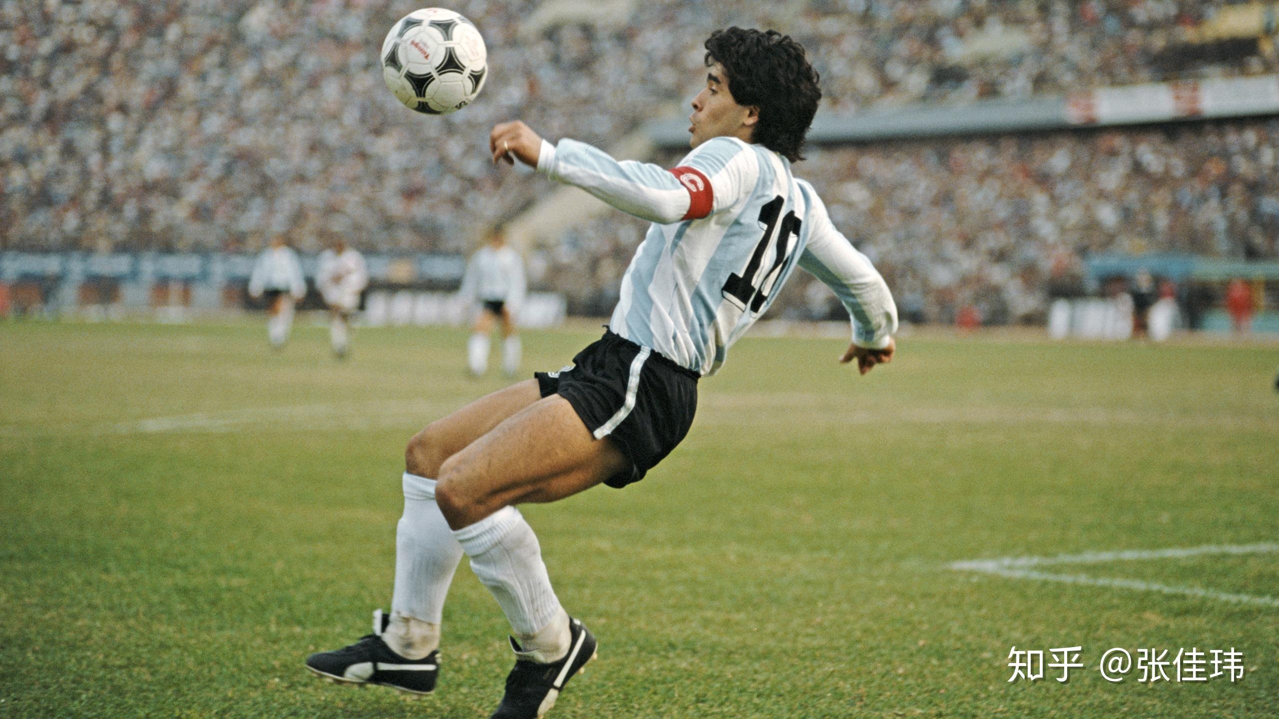 TP电玩古怪猴子官方网站 平台优化